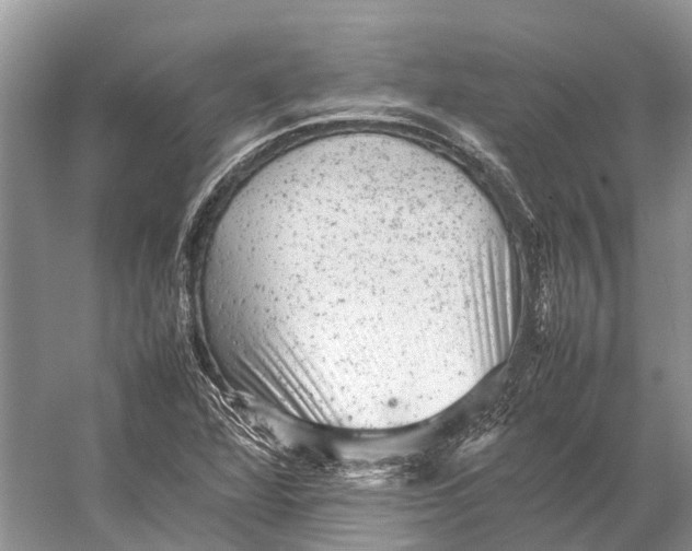 X0000053151360200508081359