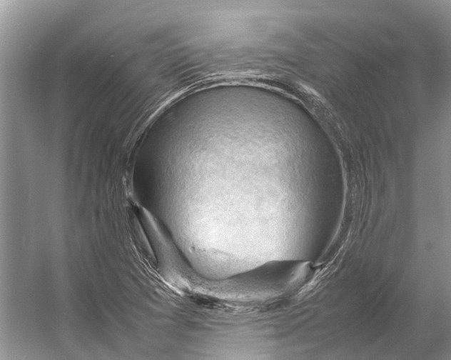 X0000053151361200508081359