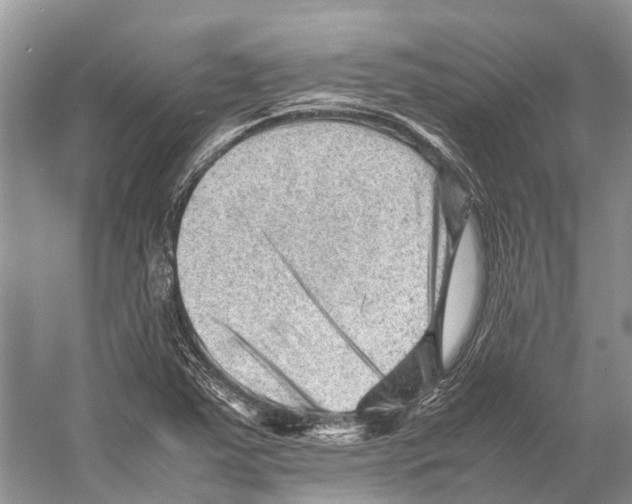 X0000053151363200508081359