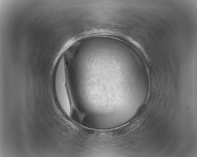 X0000053151365200508081359