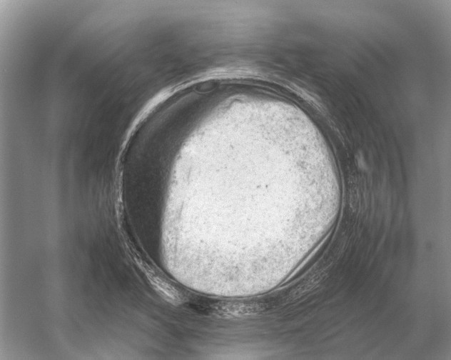 X0000053151366200508081359