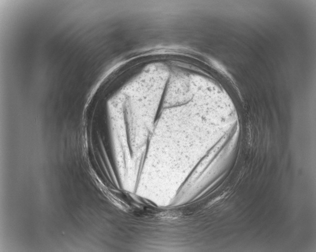 X0000053151368200508081359