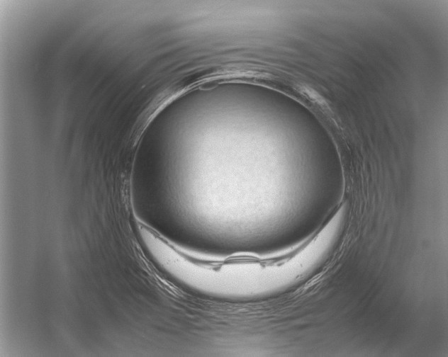 X0000053151369200508081359