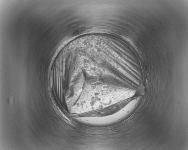 X0000053151371200508081359