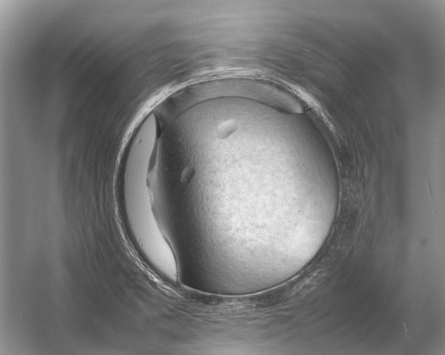 X0000053151373200508081359