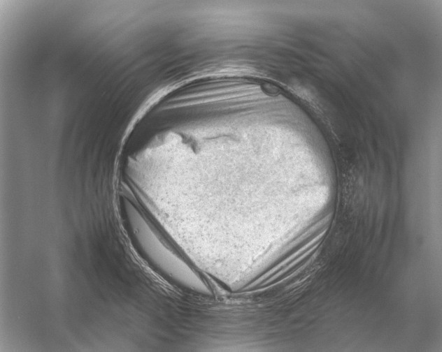 X0000053151374200508081359