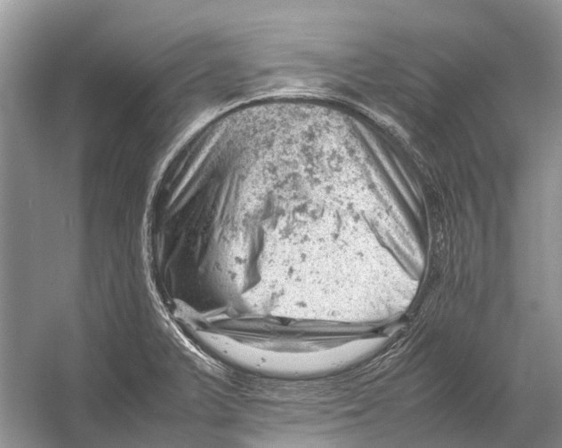 X0000053151375200508081359