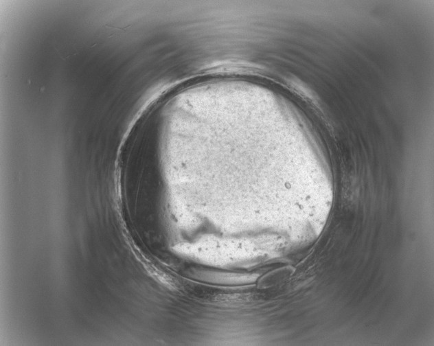 X0000053151376200508081359