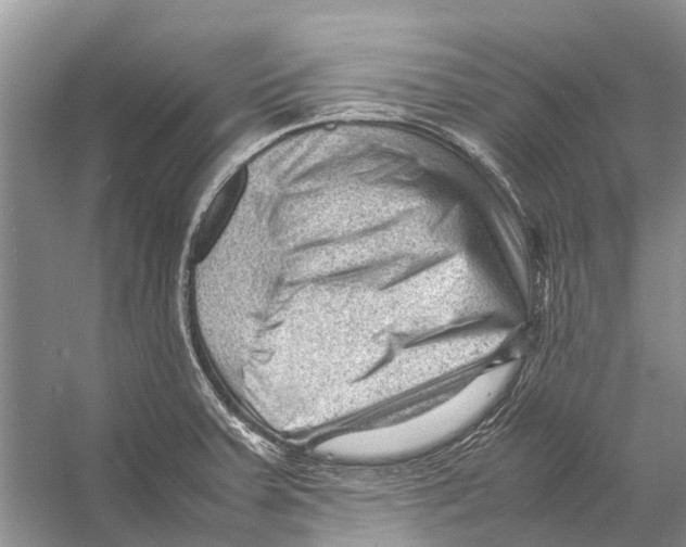 X0000053151379200508081359