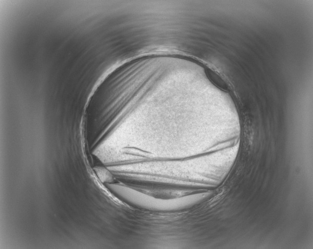 X0000053151382200508081359