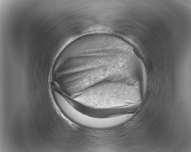 X0000053151383200508081359