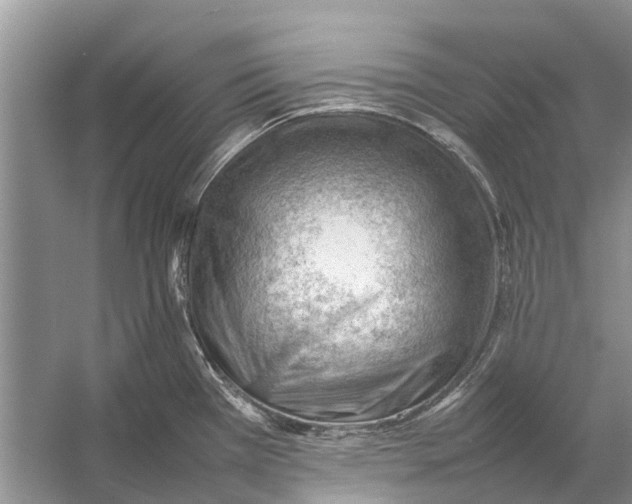 X0000053151385200508081359