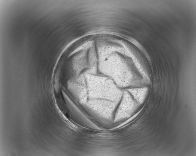 X0000053151388200508081359