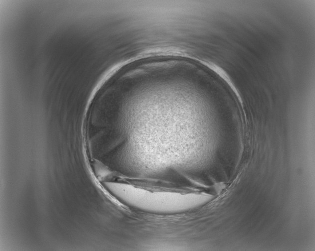 X0000053151389200508081359