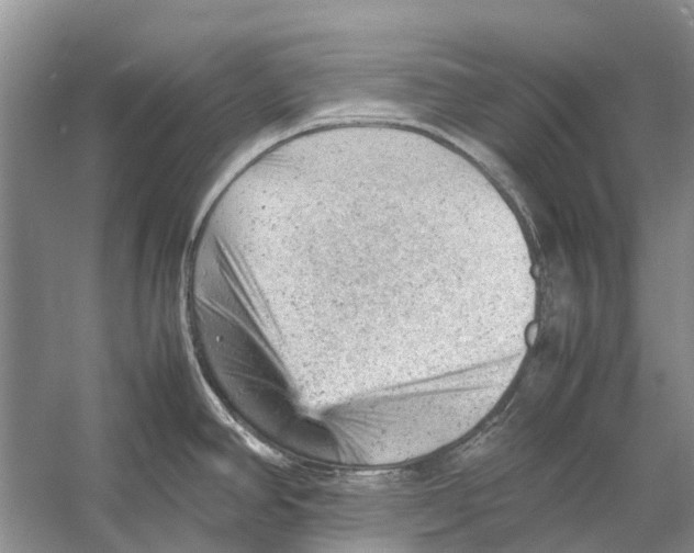 X0000053151390200508081359