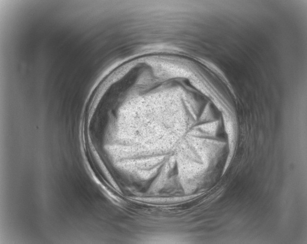 X0000053151391200508081359