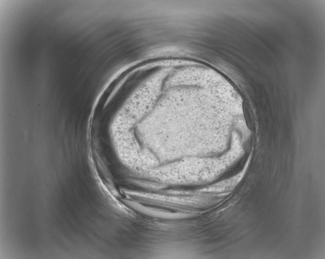 X0000053151392200508081359