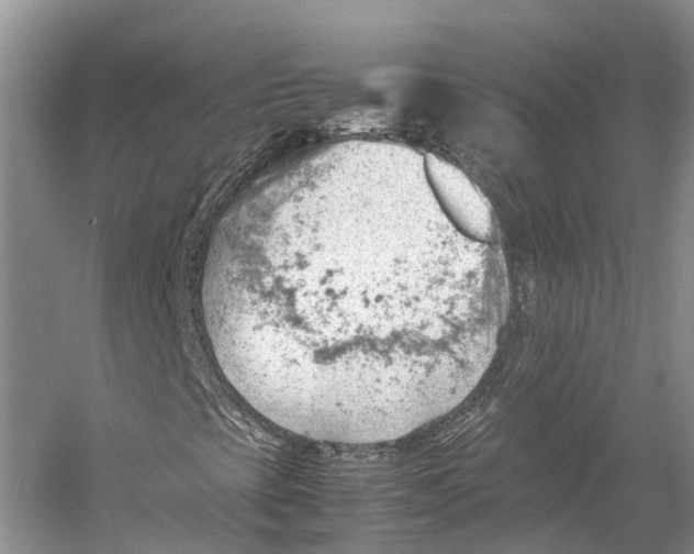 X0000053151393200508081358