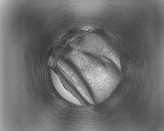 X0000053151394200508081358