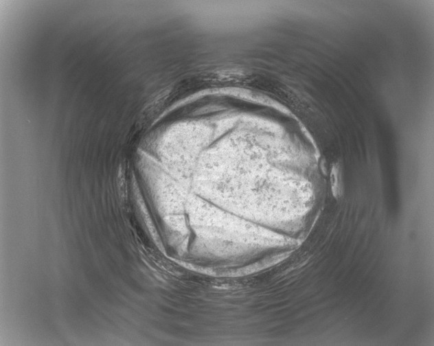 X0000053151395200508081358