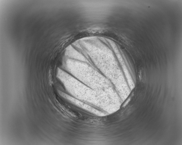 X0000053151396200508081358