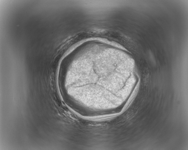 X0000053151397200508081358