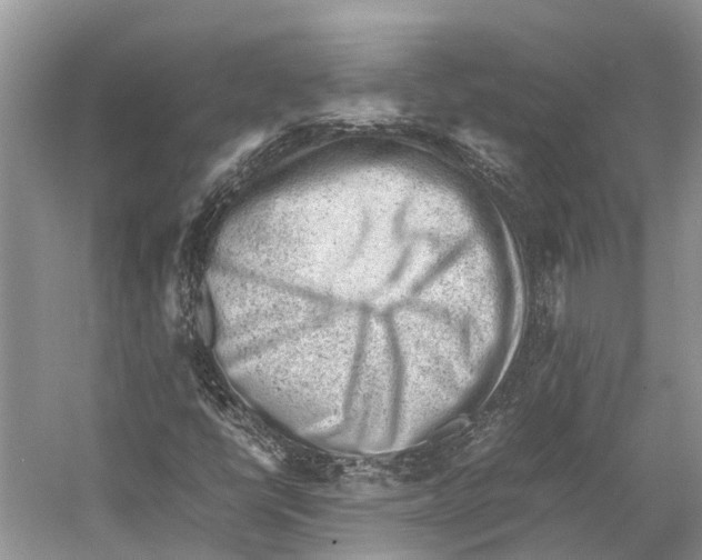 X0000053151398200508081358