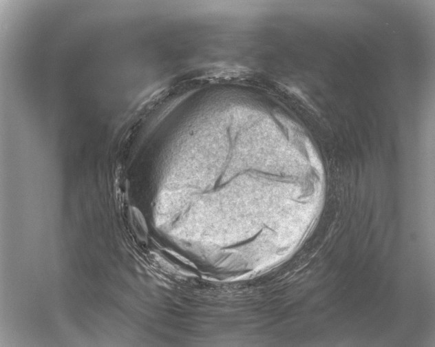 X0000053151399200508081358