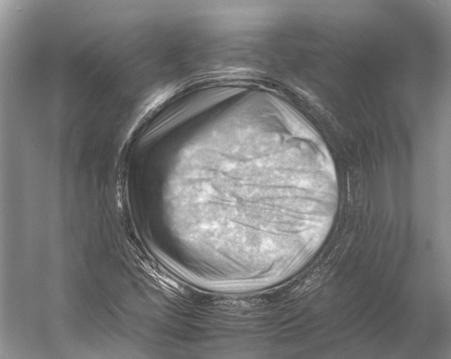 X0000053151405200508081358