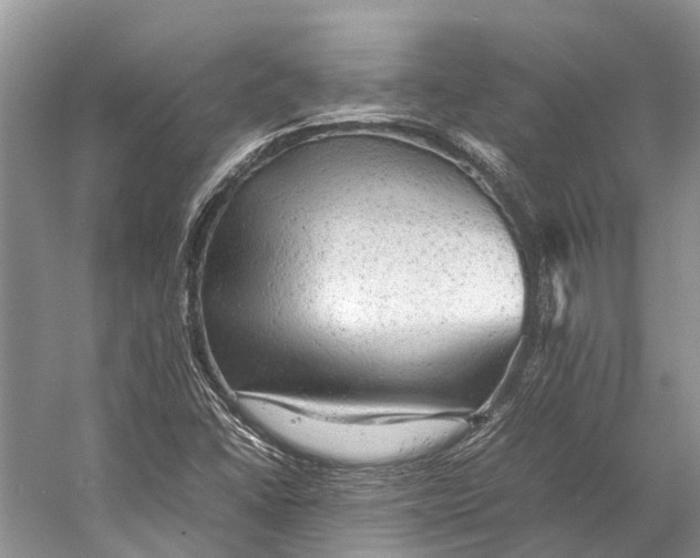 X0000053151406200508081358