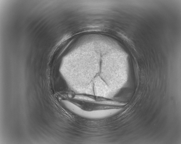 X0000053151411200508081358