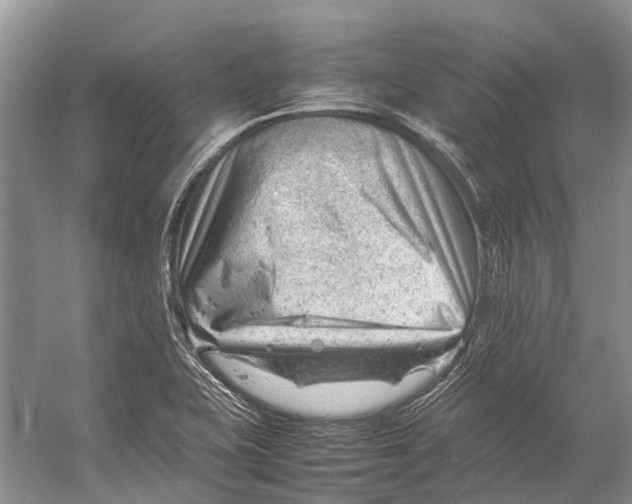 X0000053151415200508081358