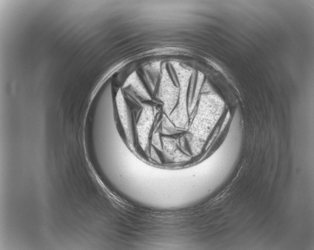 X0000053151418200508081358