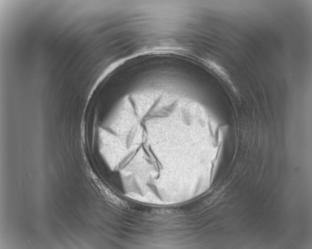 X0000053151420200508081358