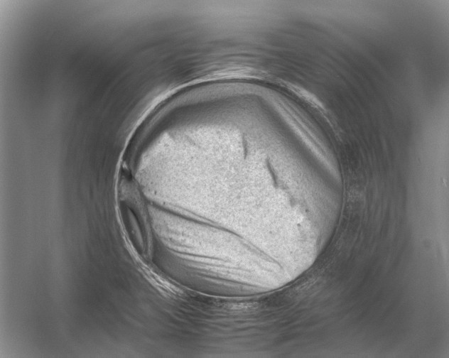 X0000053151423200508081358