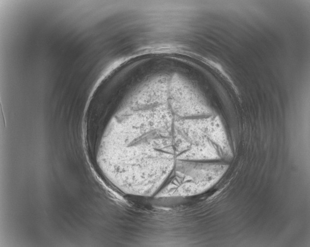 X0000053151424200508081359