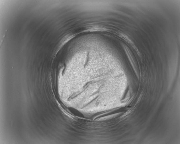 X0000053151425200508081359