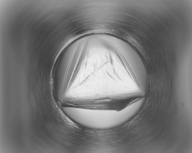 X0000053151428200508081359