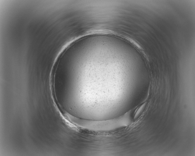 X0000053151430200508081359