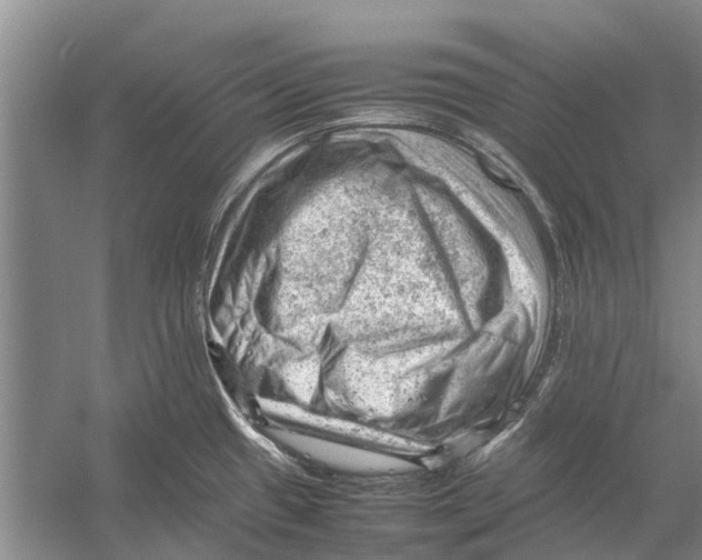 X0000053151433200508081359