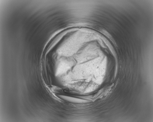 X0000053151436200508081359