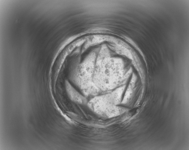 X0000053151437200508081359