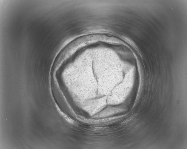 X0000053151439200508081359