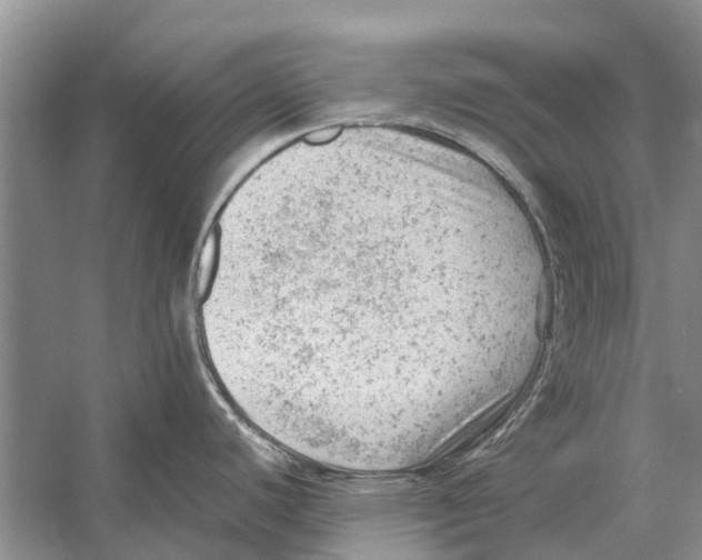 X0000053151440200508081359