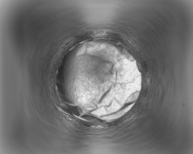 X0000053151441200508081358