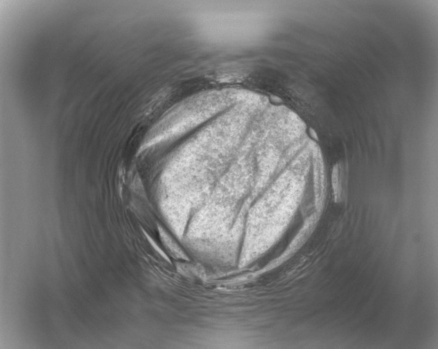 X0000053151443200508081358