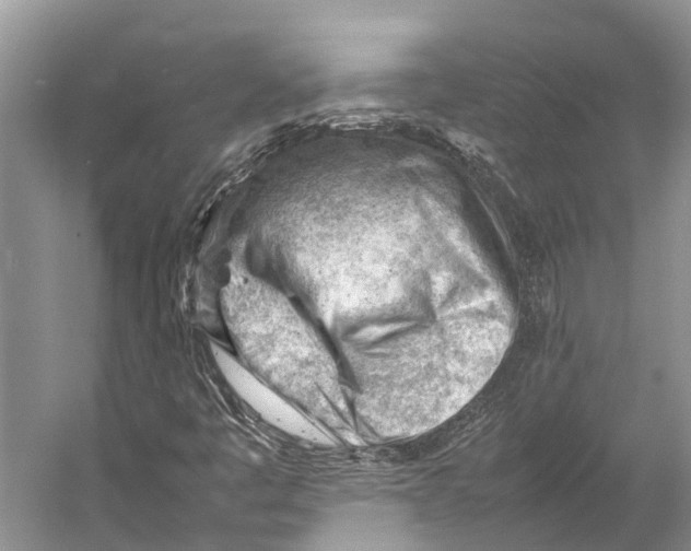 X0000053151445200508081358