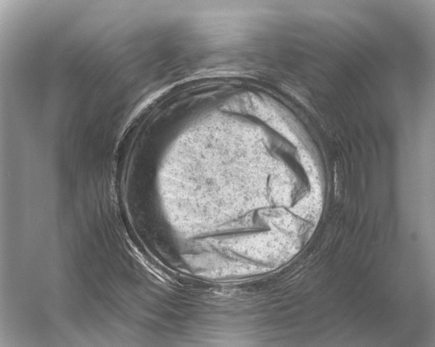 X0000053151452200508081358