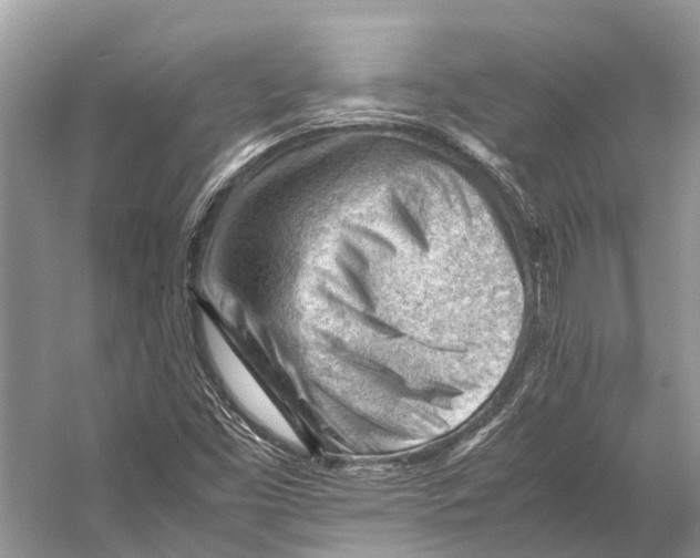 X0000053151453200508081358