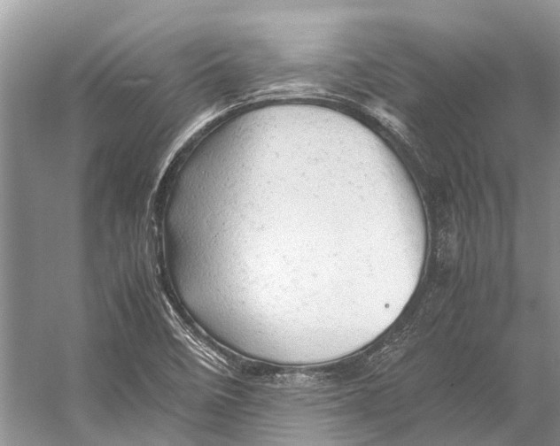 X0000053151458200508081358